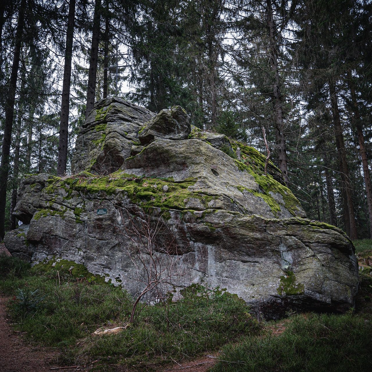 Felsen